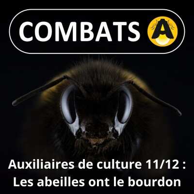 SPÉCIAL Auxiliaires 11/12 : (Re)connaître les abeilles sauvages cover