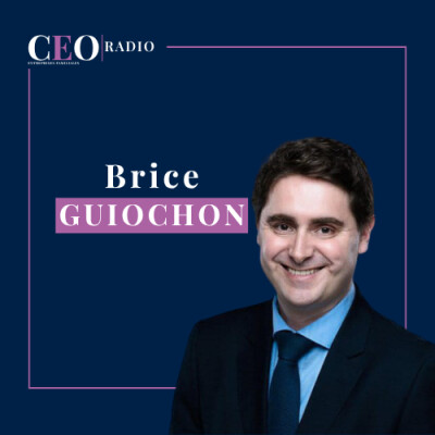 Brink’s France et son parc d’infogérance | Brice Guiochon, Directeur Général Adjoint de Brink's France cover