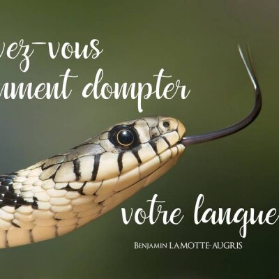 Savez-vous comment dompter votre langue ? cover