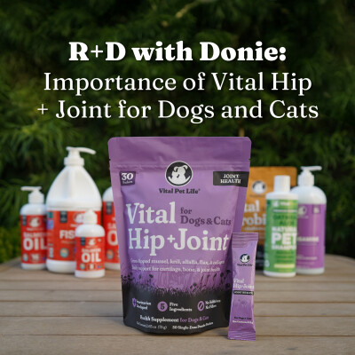 R+D with Donie: Importance of Vital Hip + Joint for Dogs and Cats cover