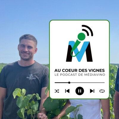 Muscadet I Communale le Pallet I Domaine Bedouet cover