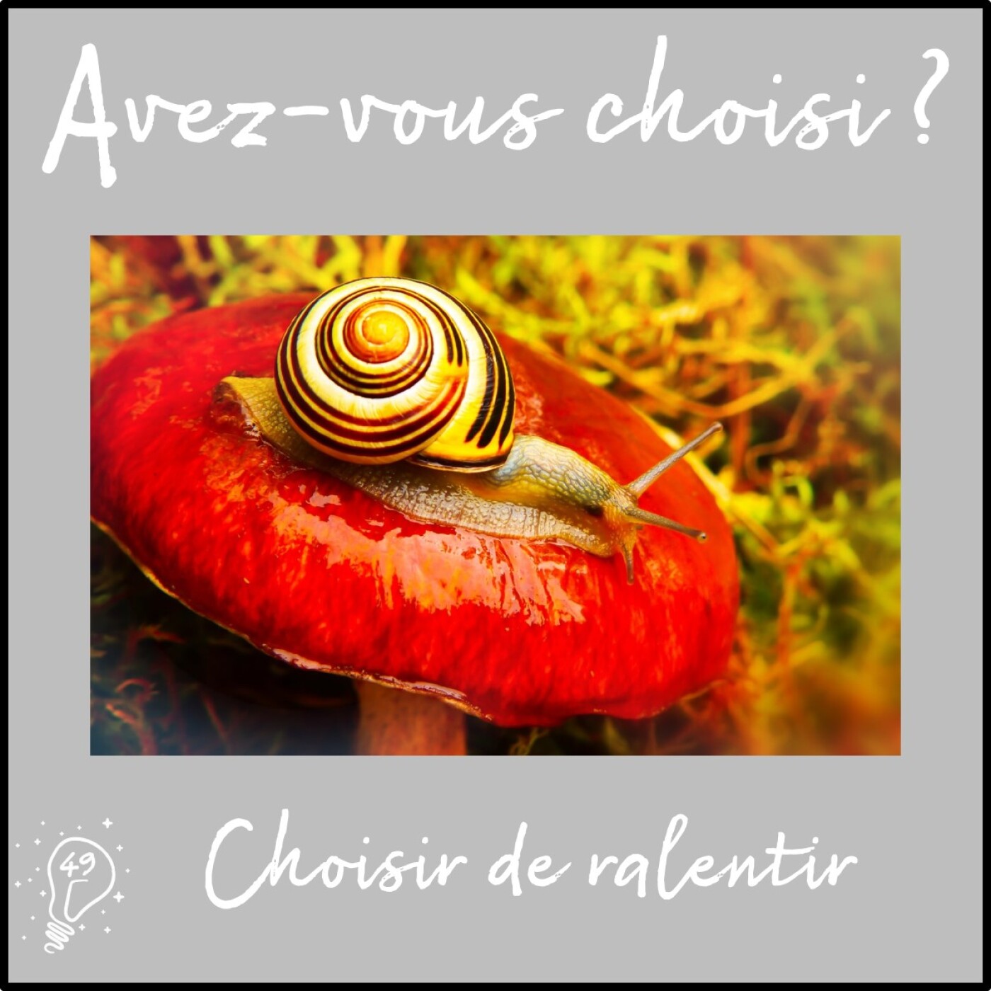 Avez-vous choisi ? - Episode 049 - Choisir de ralentir