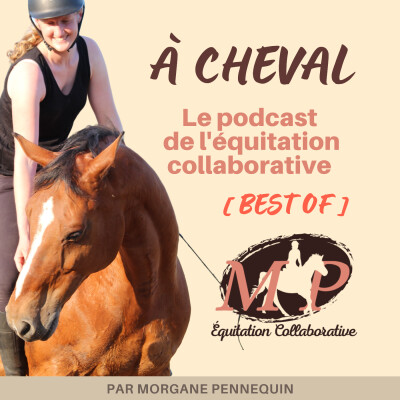 143. BEST OF [interview] Faire de mon cheval un partenaire avec Pierre Beaupère cover