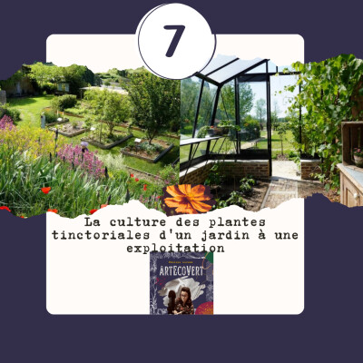 La culture des plantes tinctoriales d'un jardin à une exploitation avec Marie Marquet cover