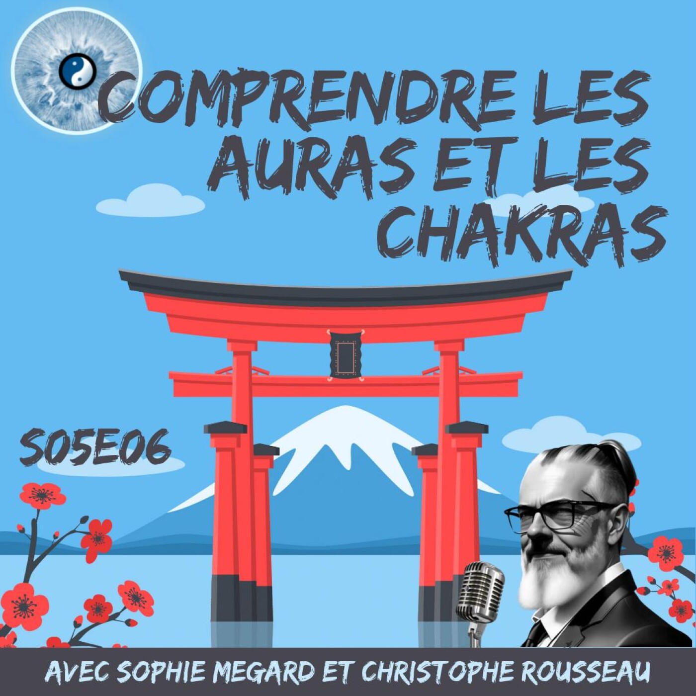 Comprendre les auras et les chakras : une discussion holistique avec Sophie Mégard