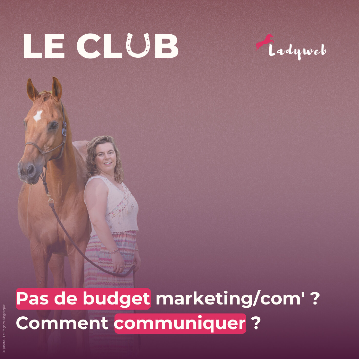 Le Club - Marketing Equestre