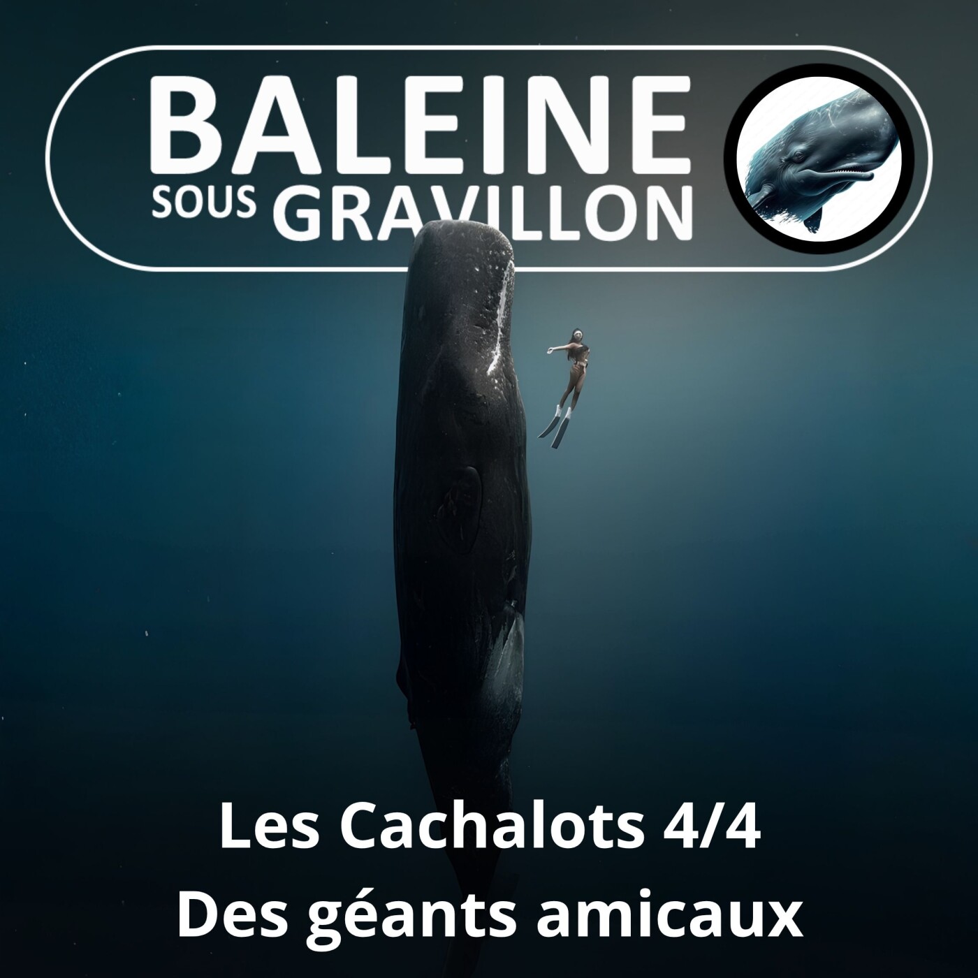 S02E17 Les Cachalots 4/4 : Des géants amicaux et sociaux (François Sarano) episode artwork