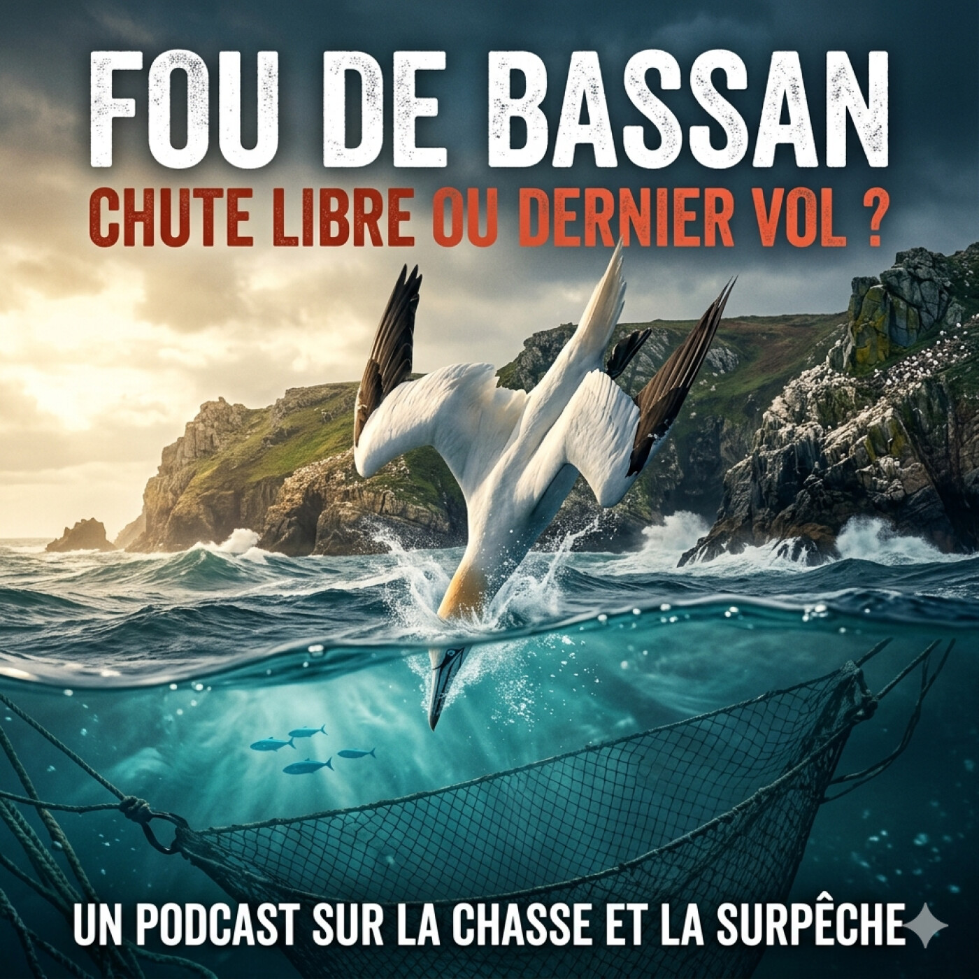 Le Fou de Bassan : Chute Libre vers l’Extinction ? episode artwork