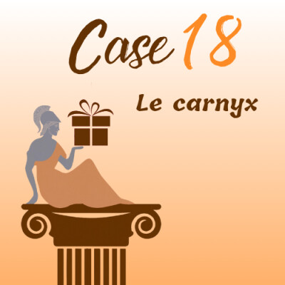Calendrier de l’Avent 2025 - Case 18 : le carnyx cover