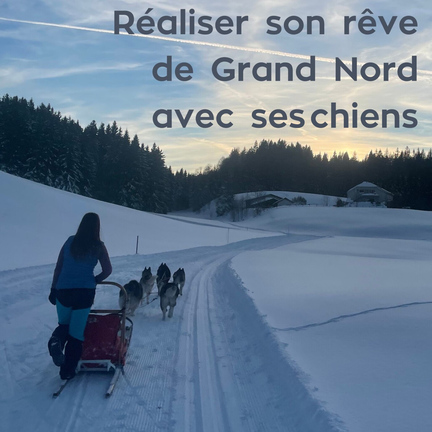 Manon : réaliser son rêve de Grand Nord avec ses chiens episode artwork