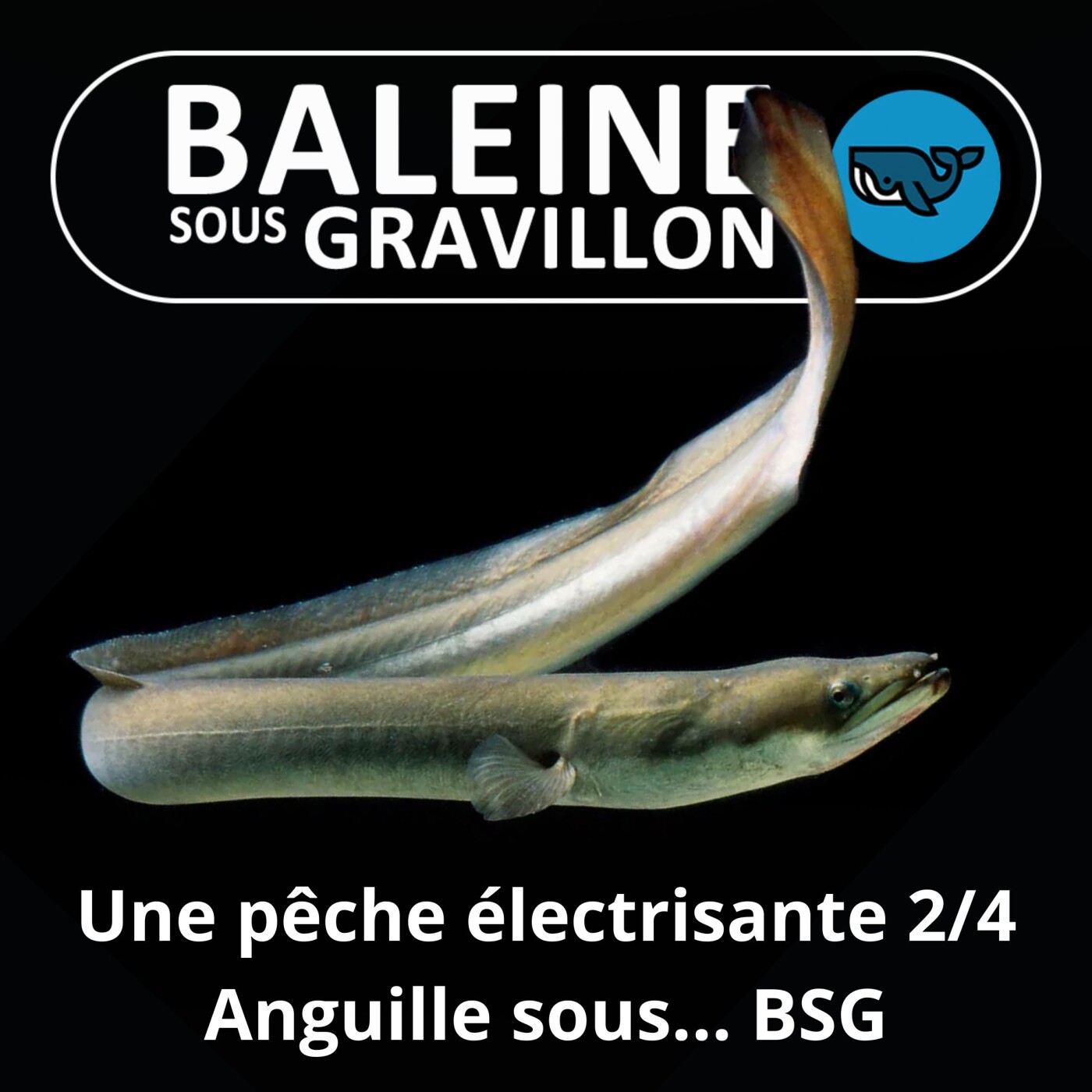 S07E132 Partie de pêche... électrisante 2/4 : Truites et Anguilles sous... Touvre