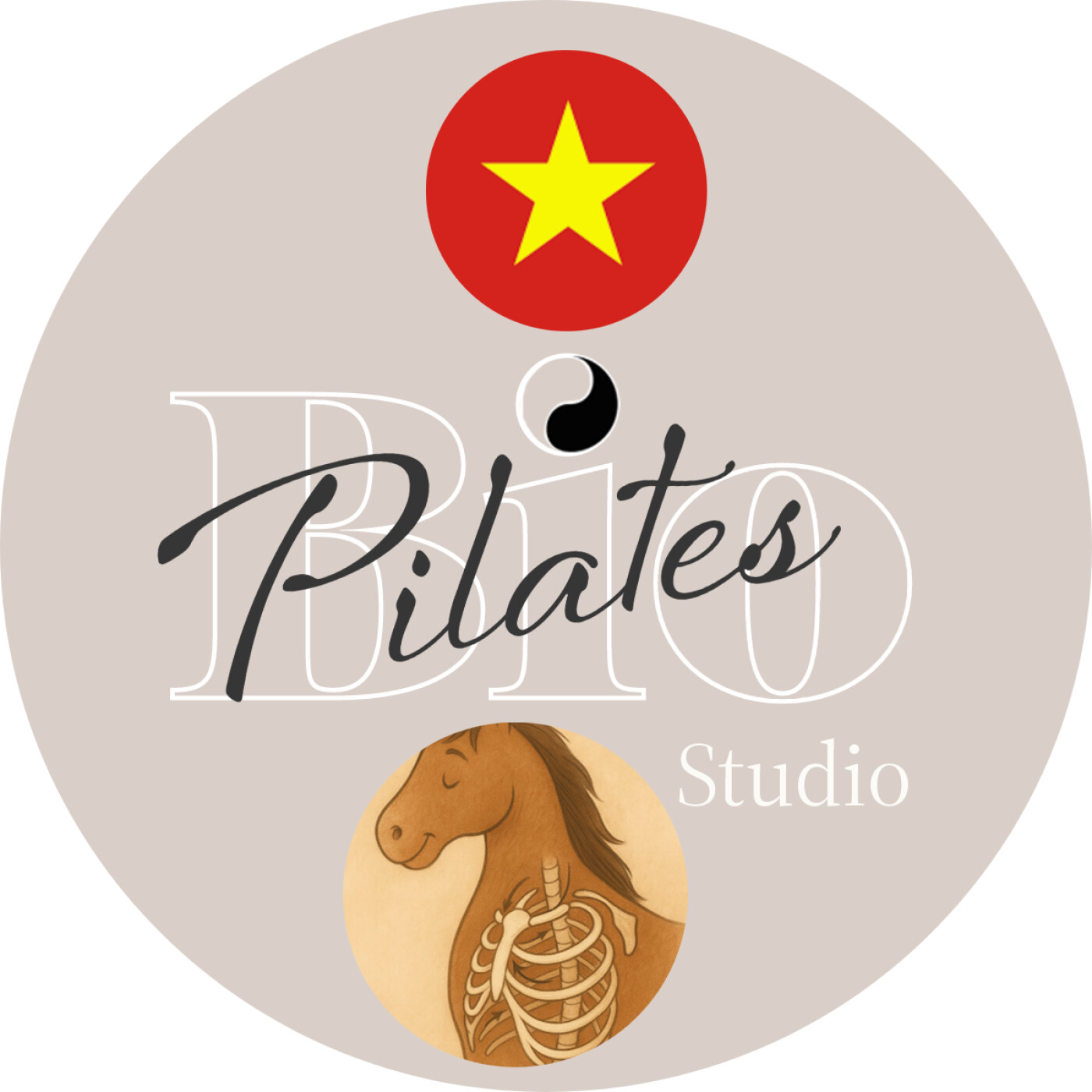 🇻🇳 🐴 Basic Principle Stott Pilates Breathing - Hơi Thở STOTT PILATES: Bài Học của Ngựa Gandour episode artwork