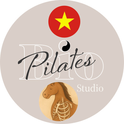 🇻🇳 🐴 Hơi Thở STOTT PILATES: Bài Học của Ngựa Gandour - Stott Pilates Breathing cover