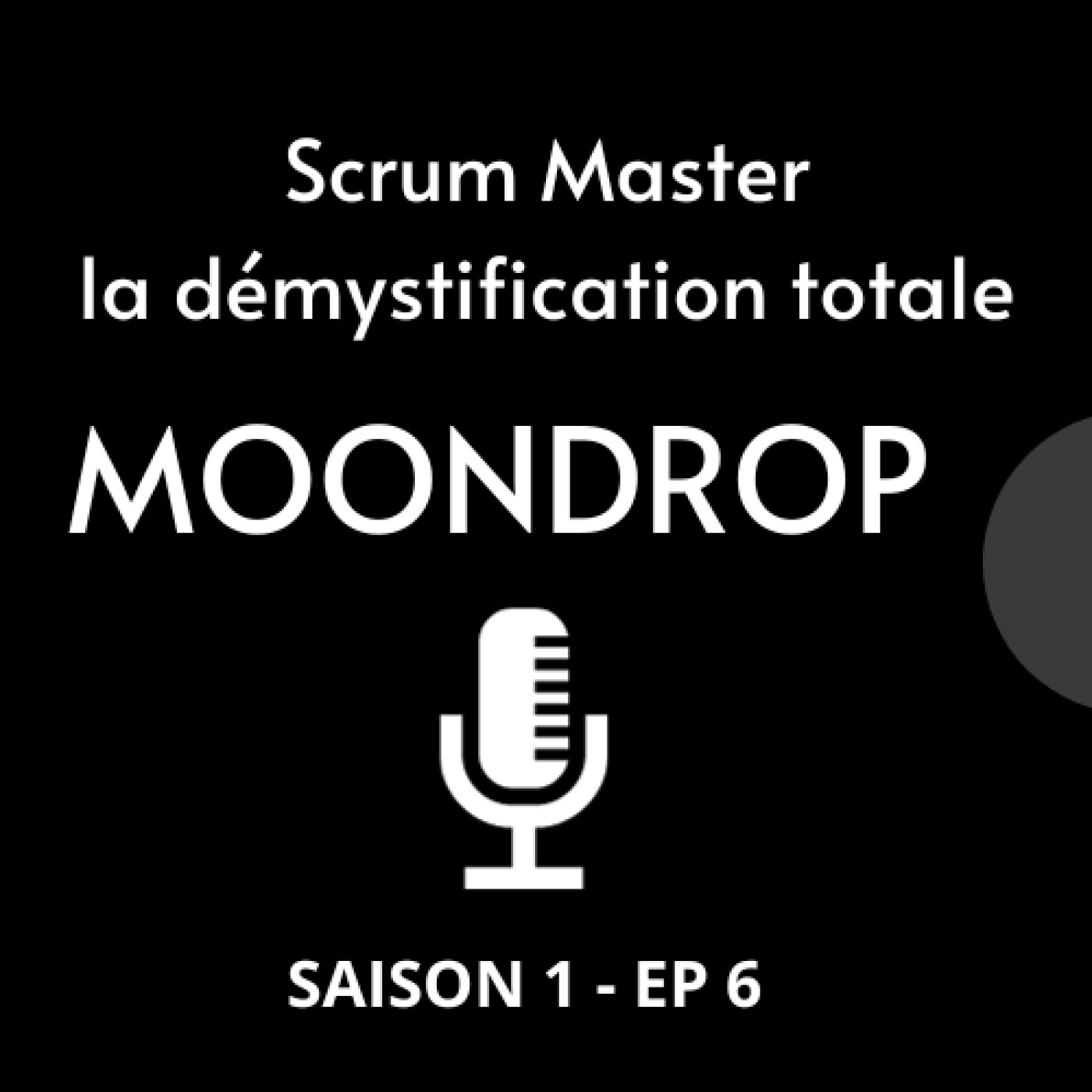 Scrum Master la démystification totale