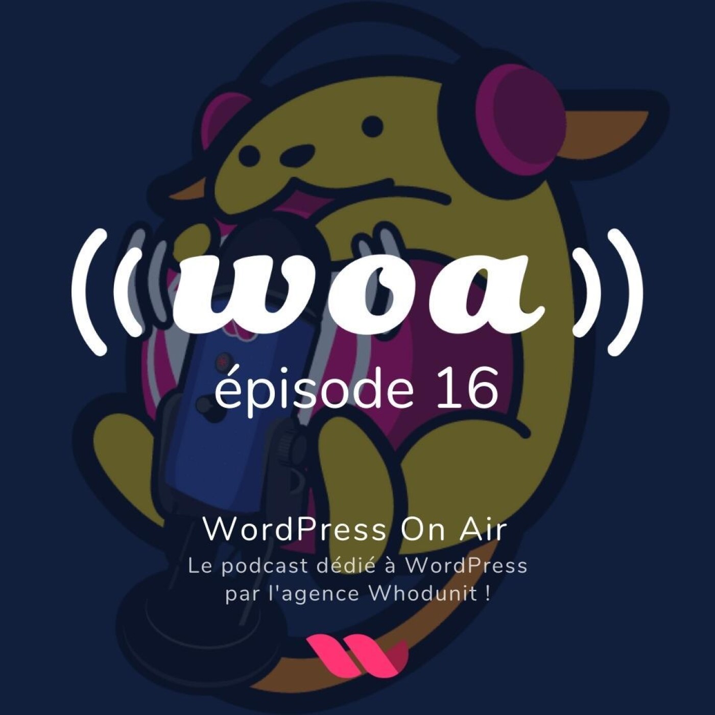 WOA! (WordPress On Air) #16 - Pierre Lannoy, des outils de monitoring et plus pour WordPress