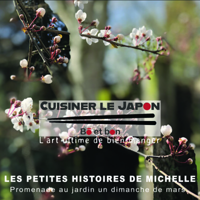 LES PETITES HISTOIRES DE MICHELLE - Promenade de printemps au jardin cover