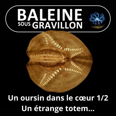 S08E16 Un oursin dans le cœur 1/2 : L'étrange totem de Bruno David... cover