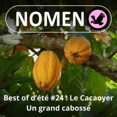 BEST OF D'ÉTÉ #24 : Le Cacaoyer bonnes gens ! cover