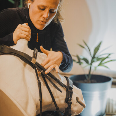 🐎 • L’importance d’un matériel adapté et de qualité cover