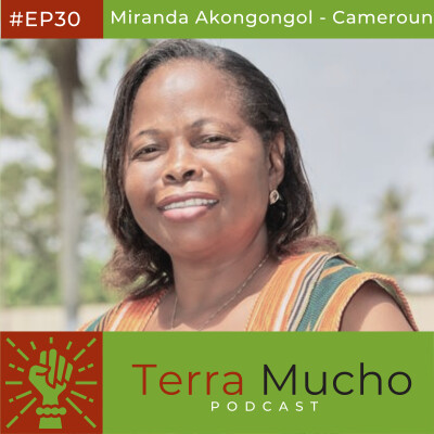 EP30 - Miranda Akongongol : Quand protéger la forêt c’est autonomiser les femmes cover