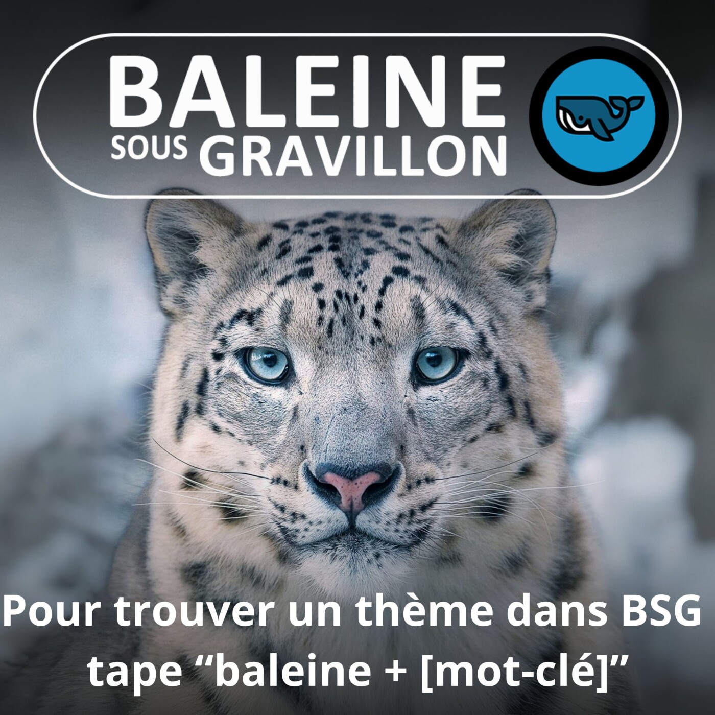 RUSE DE SIOUX : Tape "baleine + [mot-clé]" dans ton appli !