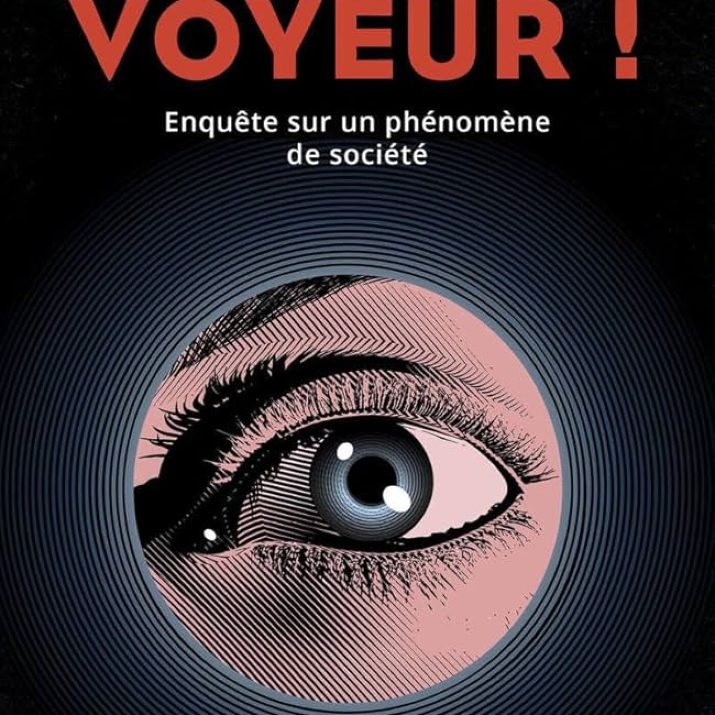 Voyeur, l'enquête sur un délit impensé ! Clémentine Thiebault est notre invitée ! Un certain goût pour le noir #242 episode artwork