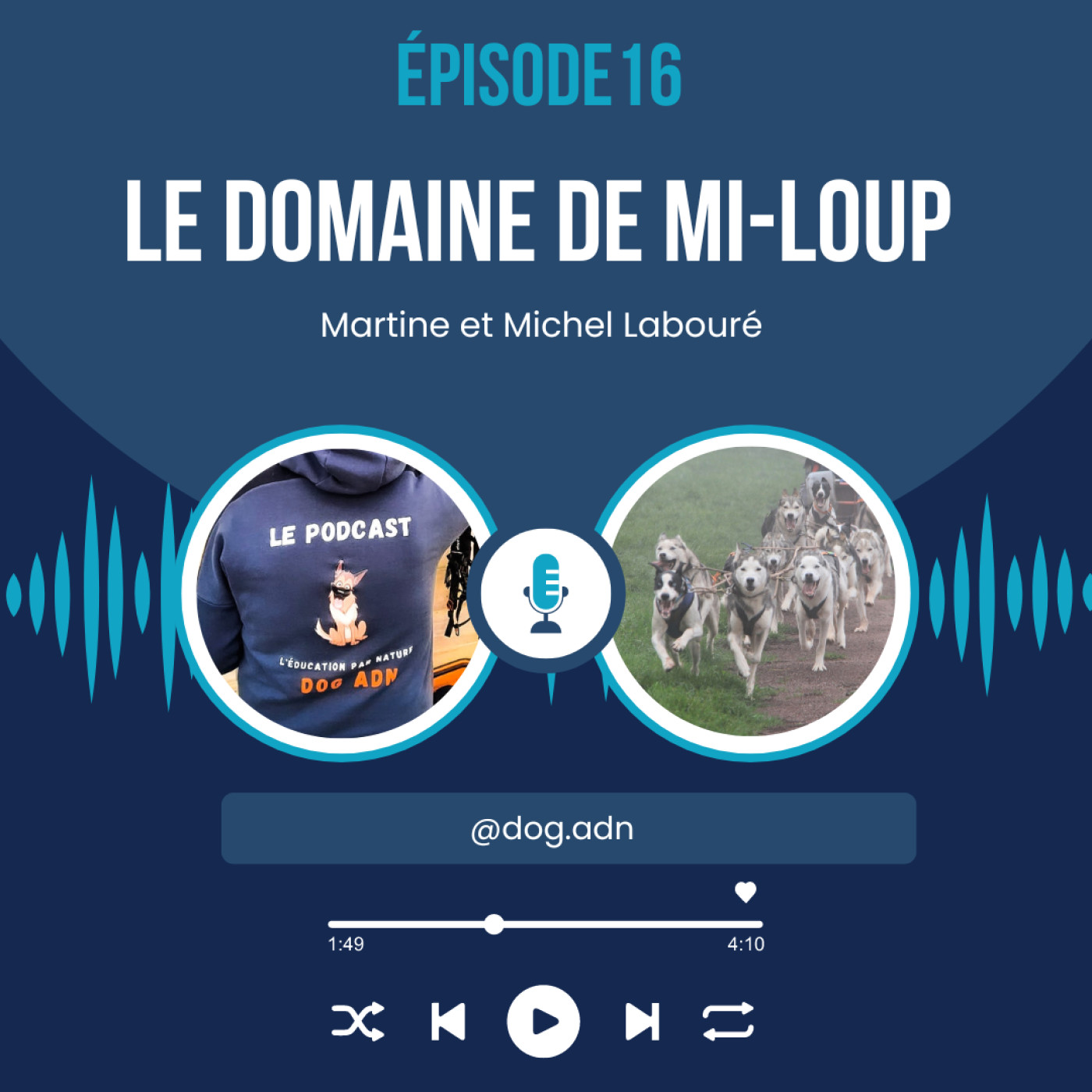 #16 Le domaine de Mi-Loup episode artwork