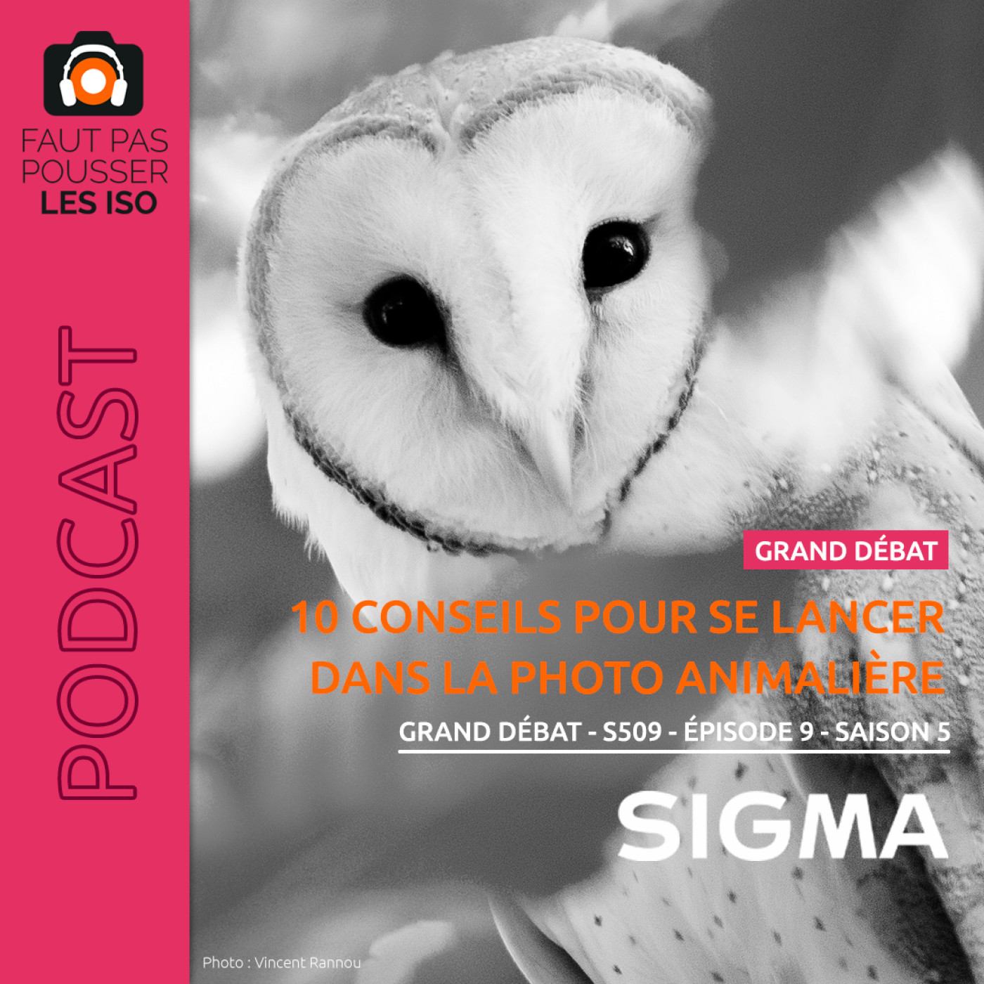 GRAND DÉBAT - S509 - 10 conseils pour se lancer dans la photo animalière