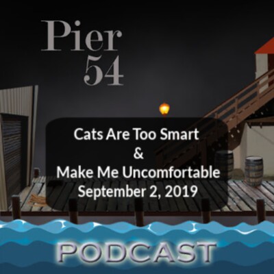 Cats Are Too Smart & Make Me Uncomfortable 9/2/19 cover