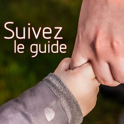 Suivez le guide ! cover