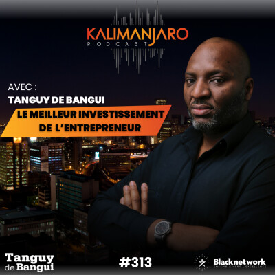 #313 POURQUOI 53% DES ENTREPRENEURS ECHOUENT ET COMMENT L'EVITER, par Tanguy de BANGUI cover