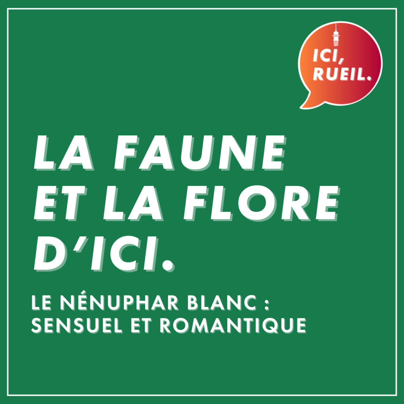 La Faune et la Flore d'Ici : Le nénuphar blanc, sensuel et romantique episode artwork