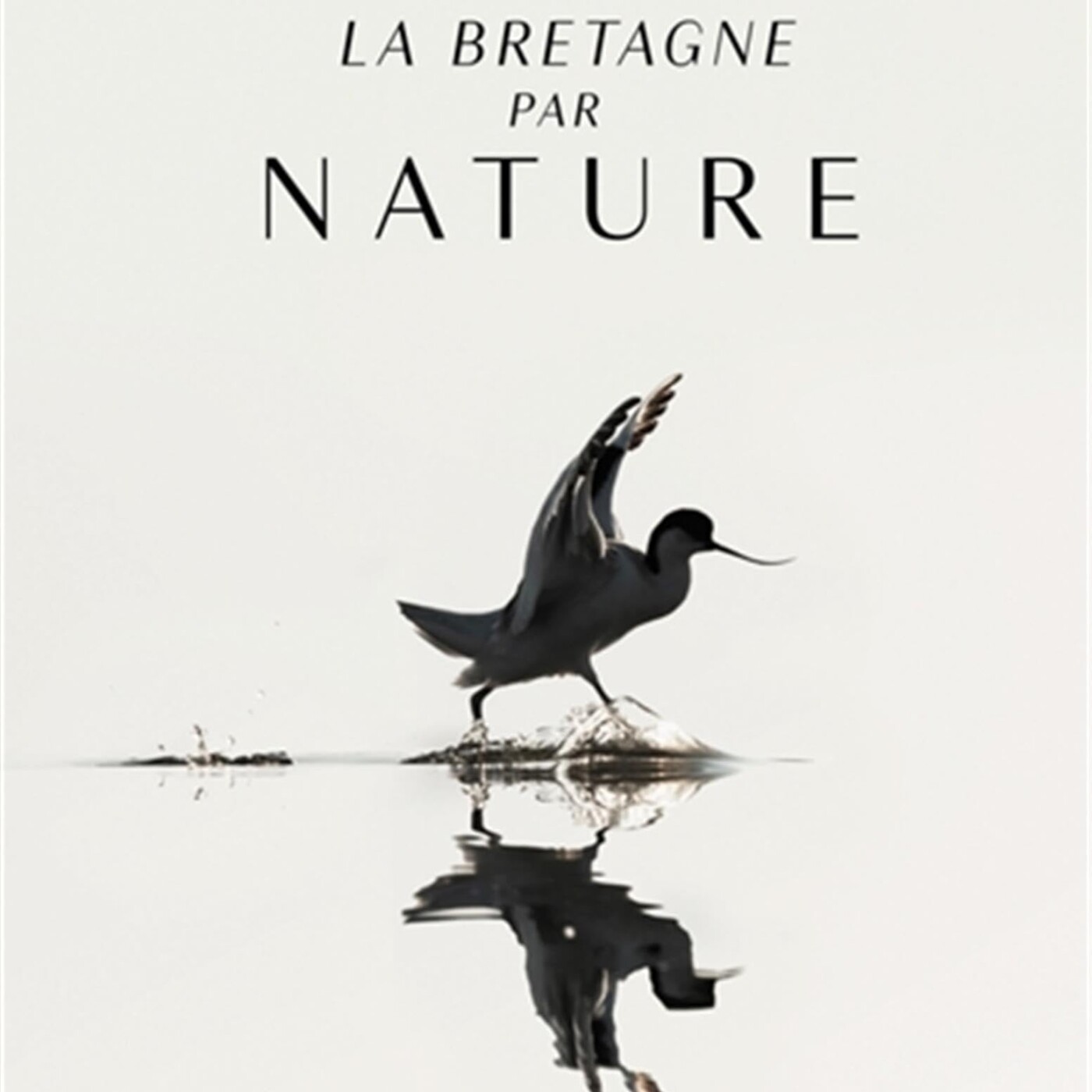 La Bretagne par nature, on prend le temps de regarder la Bretagne autrement
