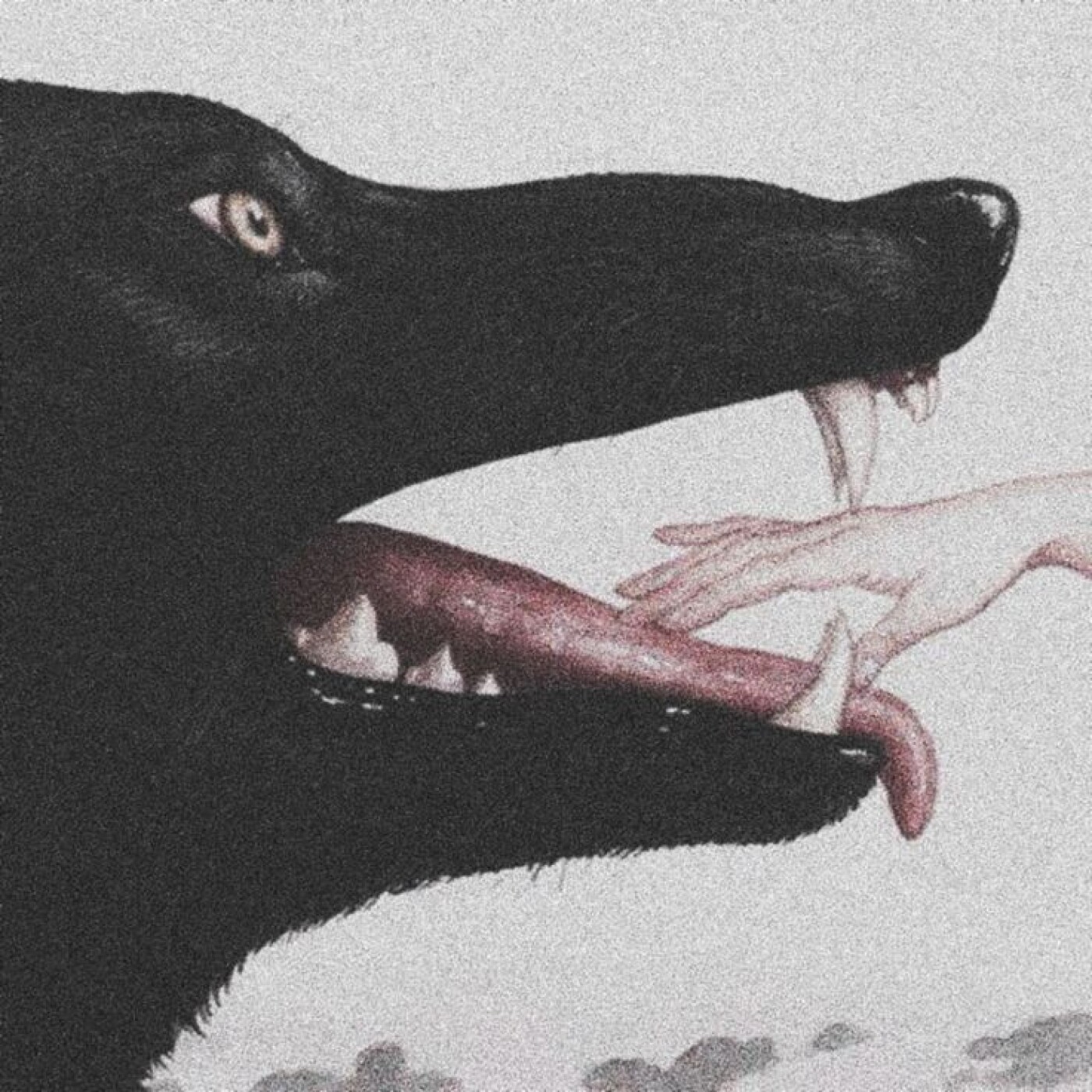 L'Enfant qui criait au Loup episode artwork