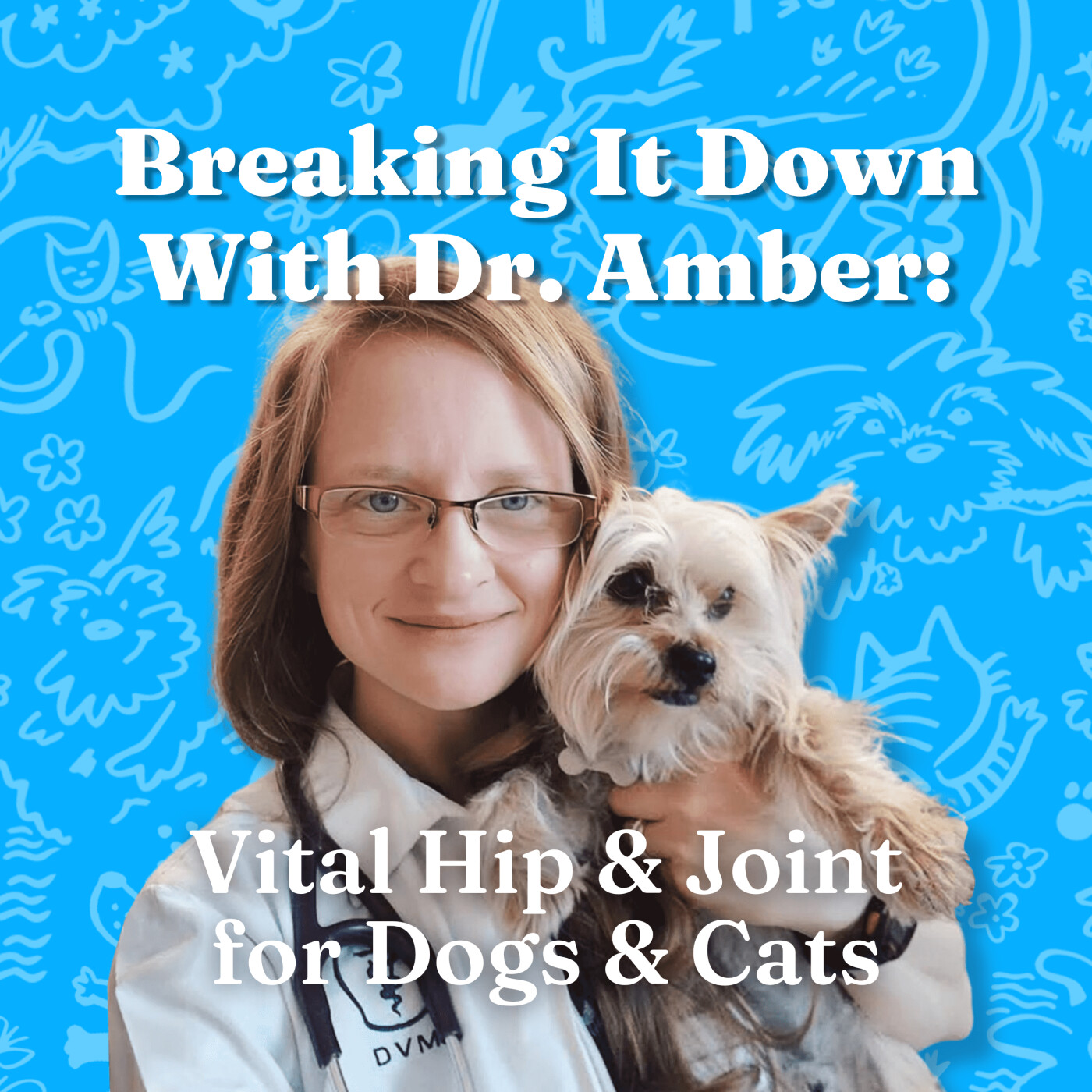 Breaking It Down with Dr. Amber: Vital Hip & Joint for Dogs and Cats episode artwork