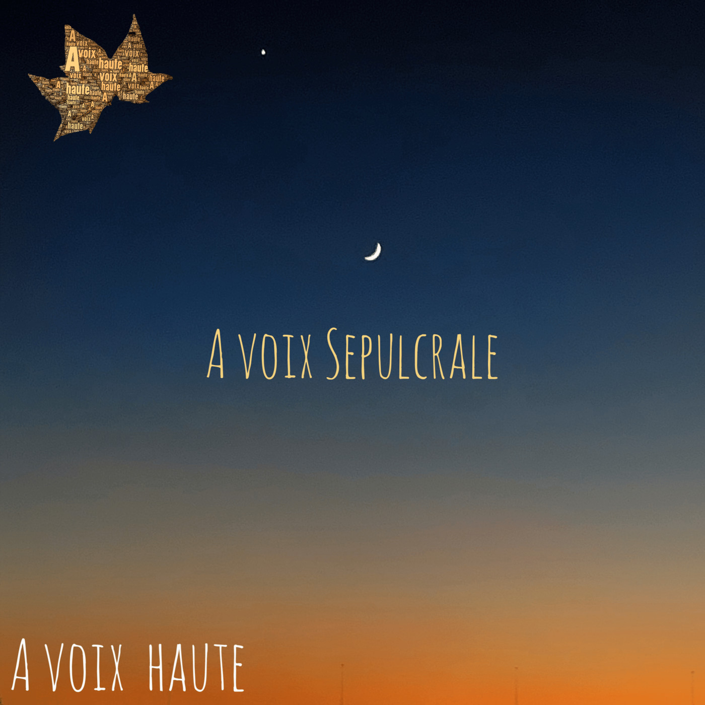 A voix Sépulcrale - Victor Hugo - Funérailles - Emile Augier - Yannick Debain.