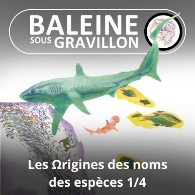 HORS-SÉRIE Les Ωrigines des noms des espèces 3/4 : Les plus extraordinaires (Marc Mortelmans) cover