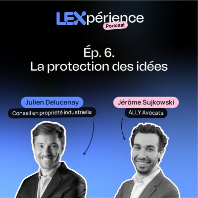 06. La protection des idées cover