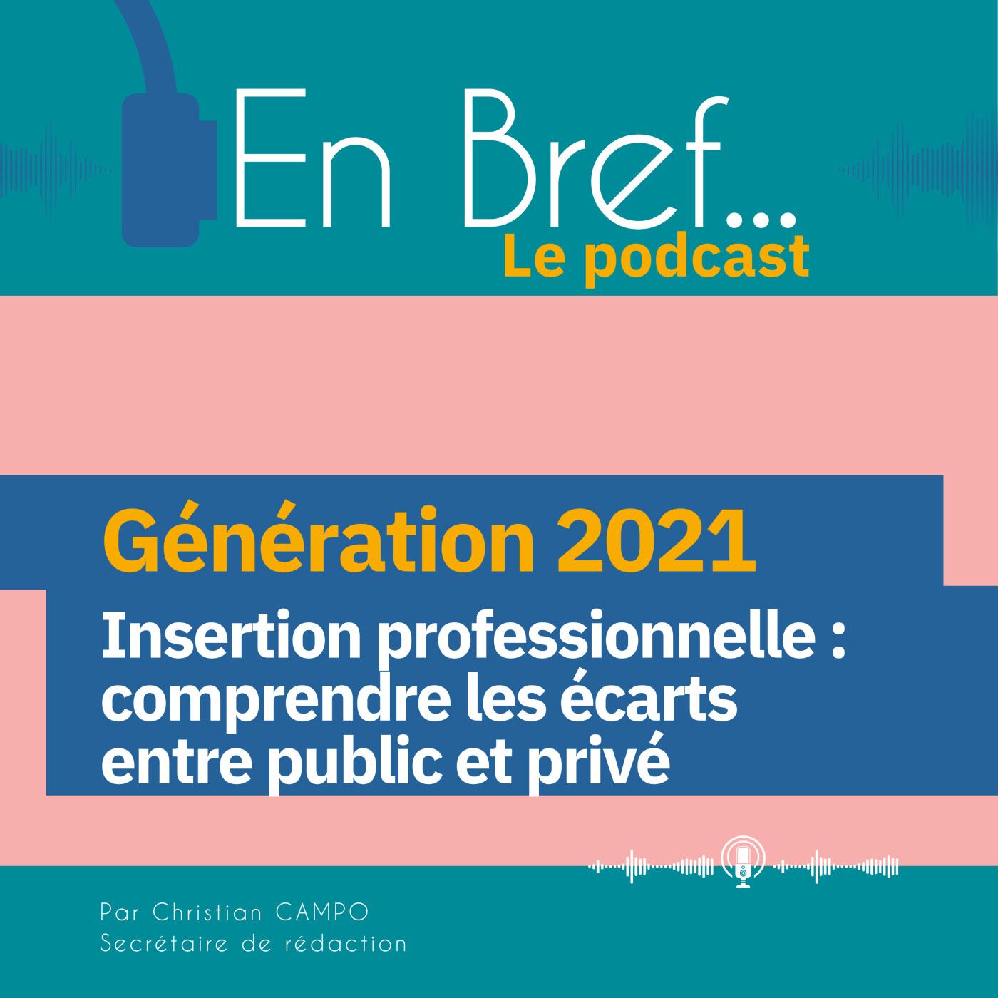 Insertion professionnelle : comprendre les écarts entre public et privé