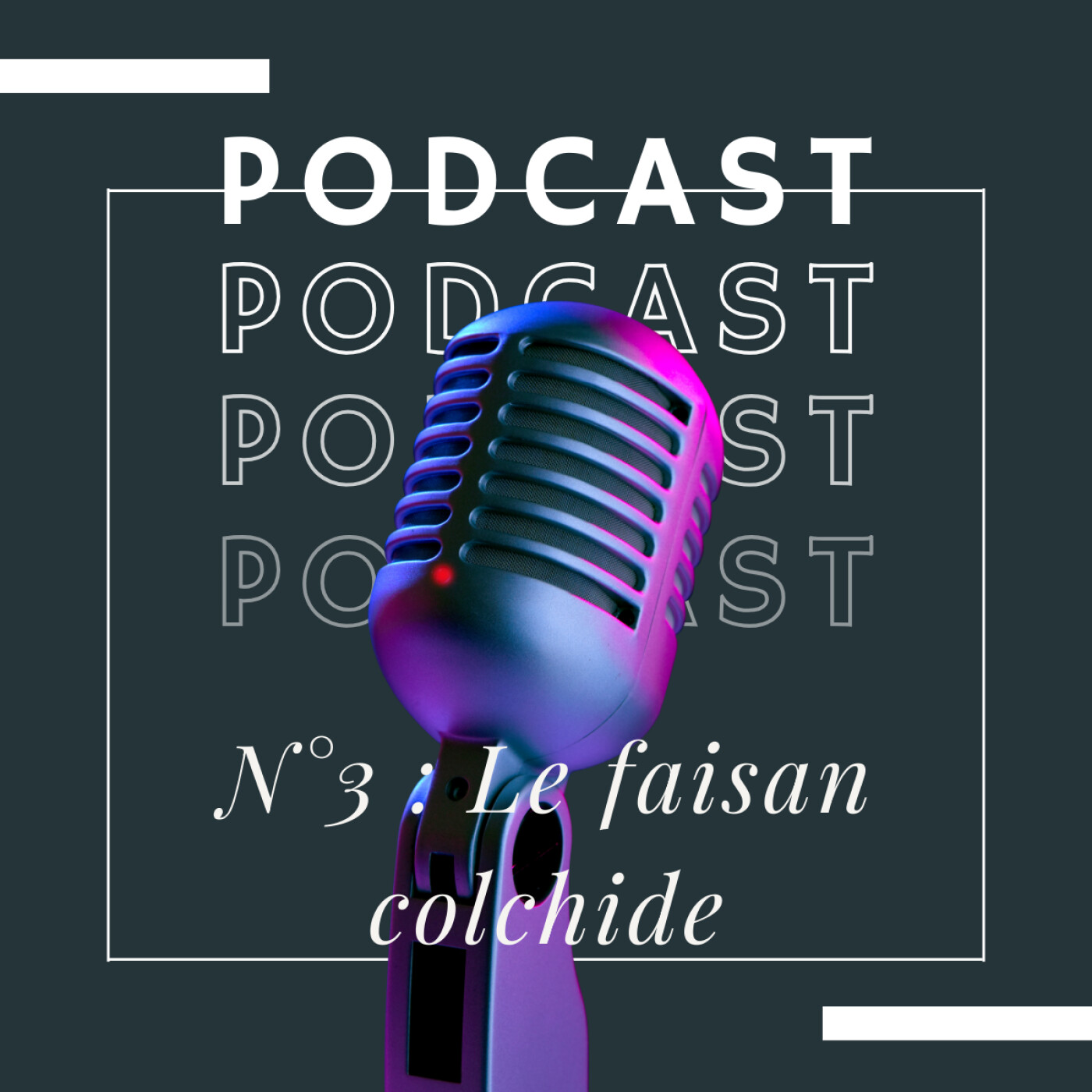 Le faisan Colchide : exotique envahissant, élever pour être chasser Le faisan Colchide : exotique envahissant, élever pour être chasser