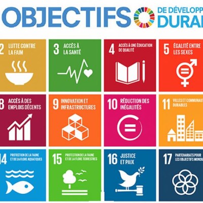 Agenda2030, les ODD et l'entreprise cover