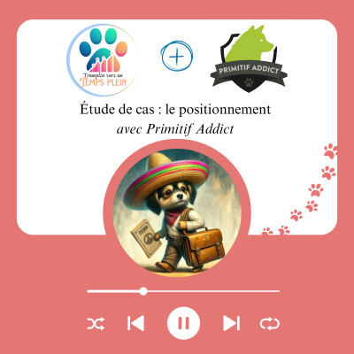 Étude de cas : le positionnement avec PRIMITIF ADDICT / ITW2 cover