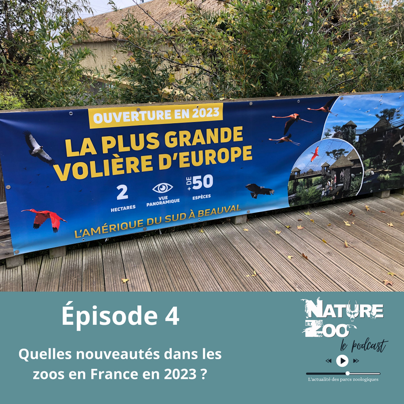 Épisode 4 (NOUVEAUTÉS) - Quelles nouveautés dans les zoos en France en 2023 ? episode artwork