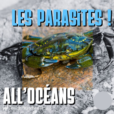 Les parasites ! cover