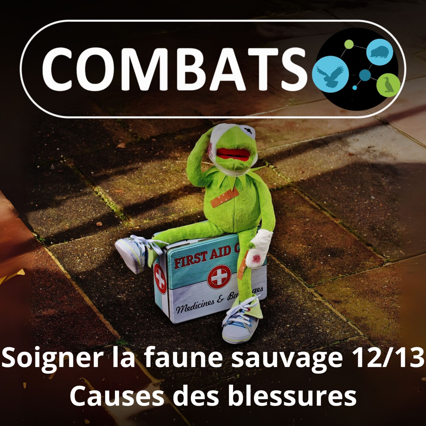 S01E69 Soigner la faune sauvage 12/13 : Bonnes pratiques, "dos and don'ts" (Manon Tissidre, directrice)