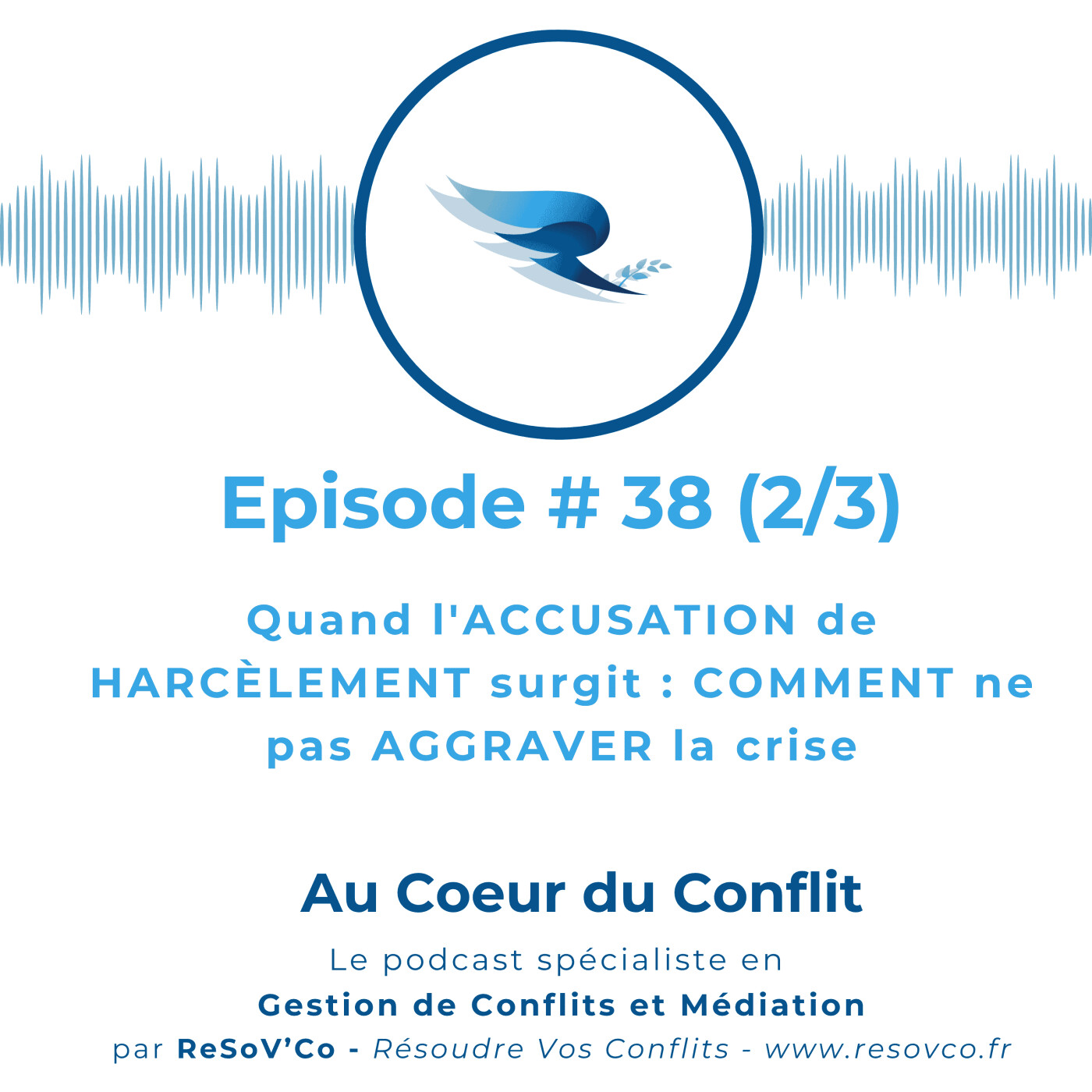38. Quand l'ACCUSATION de HARCÈLEMENT surgit : comment ne pas AGGRAVER LA CRISE ? (2/3) episode artwork