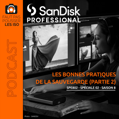 SPE802 - LES BONNES PRATIQUES DE LA SAUVEGARDE (PARTIE N°2) cover