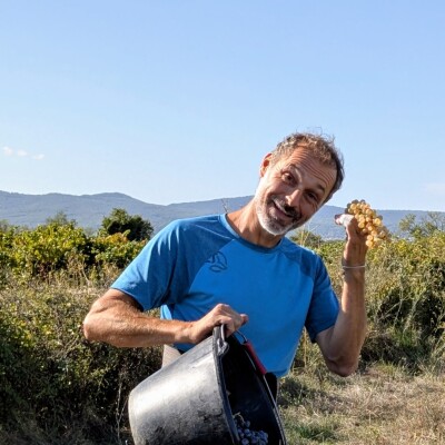 Jérôme Maillot: De Rêve, de Complantation et de Géologie cover