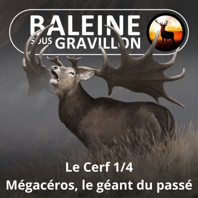 S06E09 Le Cerf 1/4 : Le Mégacéros, le géant préhistorique (Anthony Kohler) cover