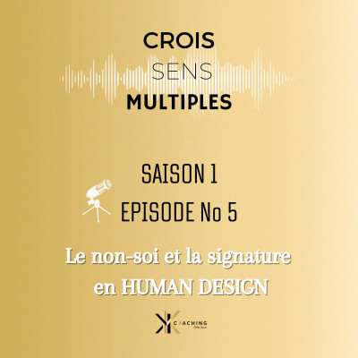 #S1 #EP05 Bien comprendre le NON SOI et la SIGNATURE en Human Design cover